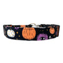 Crazy Vines Dog Collar