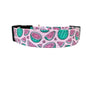 Watermelon in Pink Dog Collar