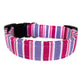 The Luna Dog Collar