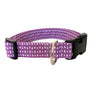 Juniper Dog Collar
