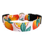 The Clementine Dog Collar