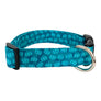 Turquoise Pumpkins Dog Collar