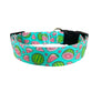 Watermelon in Green Dog Collar