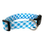 Casey Dog Collar