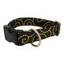 The Duke Dog Collar
