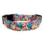 The Fruity Loops Dog Collar
