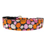 Pumpkin Spice Dog Collar