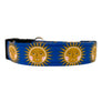 Sunshine Dog Collar
