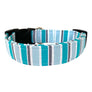 The Aspen Dog Collar