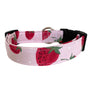 Strawberry Fields Dog Collar
