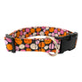 Pumpkin Spice Dog Collar
