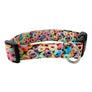 The Fruity Loops Dog Collar