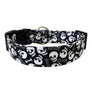 Skulls and Bones Dog Collar