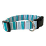 The Aspen Dog Collar