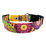 Amara Dog Collar