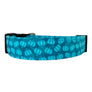 Turquoise Pumpkins Dog Collar