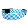 Casey Dog Collar