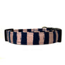 Addie Dog Collar