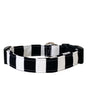 Austen Dog Collar