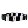 Austen Dog Collar