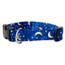 Blue Moon Dog Collar