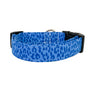 Blue Leopard Dog Collar