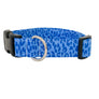Blue Leopard Dog Collar