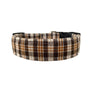 Leo Dog Collar