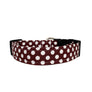 Brown and White Polka Dot Dog Collar