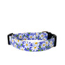 Chloe Dog Collar