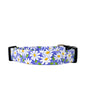 Chloe Dog Collar