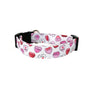 Conversation Hearts Dog Collar