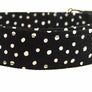 Carson Dog Collar