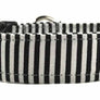 Indy Dog Collar
