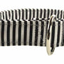 Indy Dog Collar