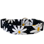 Daisies Dog Collar