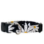Daisies Dog Collar