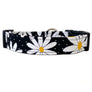 Daisies Dog Collar