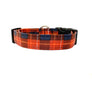 Oscar Dog Collar