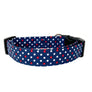 The Finn Dog Collar