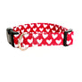 The Flirt Dog Collar