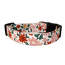 Skye Dog Collar