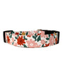 Skye Dog Collar