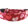 Be Mine Dog Collar