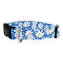 Blue Daisies Dog Collar