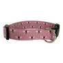 The Busy Bees Dog Collar