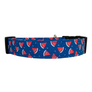 The Melon Dog Collar