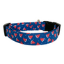 The Melon Dog Collar