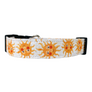 Soleil Dog Collar