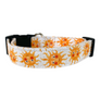 Soleil Dog Collar